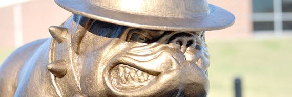 Wardog Football banner