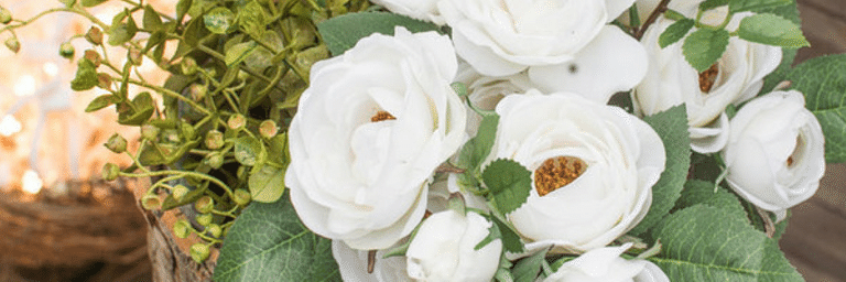 ForestofN's profile banner image