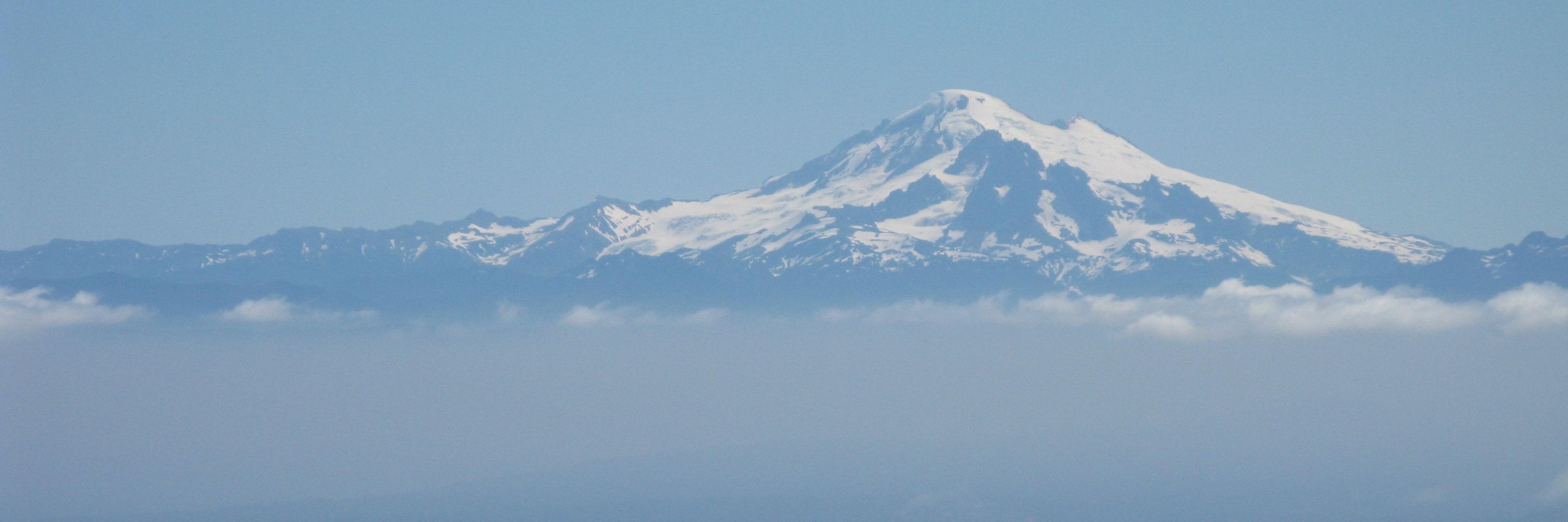 Katie Dunfield banner