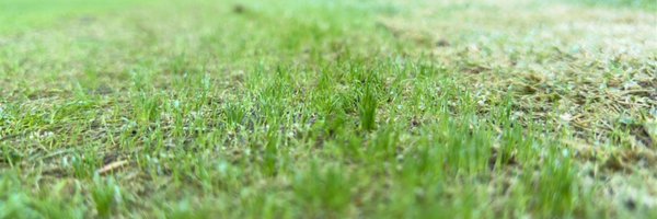 JS_turf Profile Banner