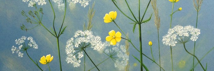 ckbotanica's profile banner image