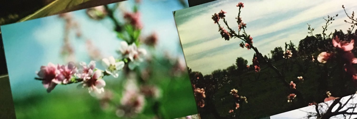 Jessep98's profile banner image