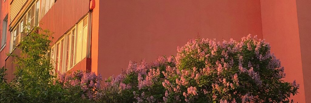 anyblat's profile banner image