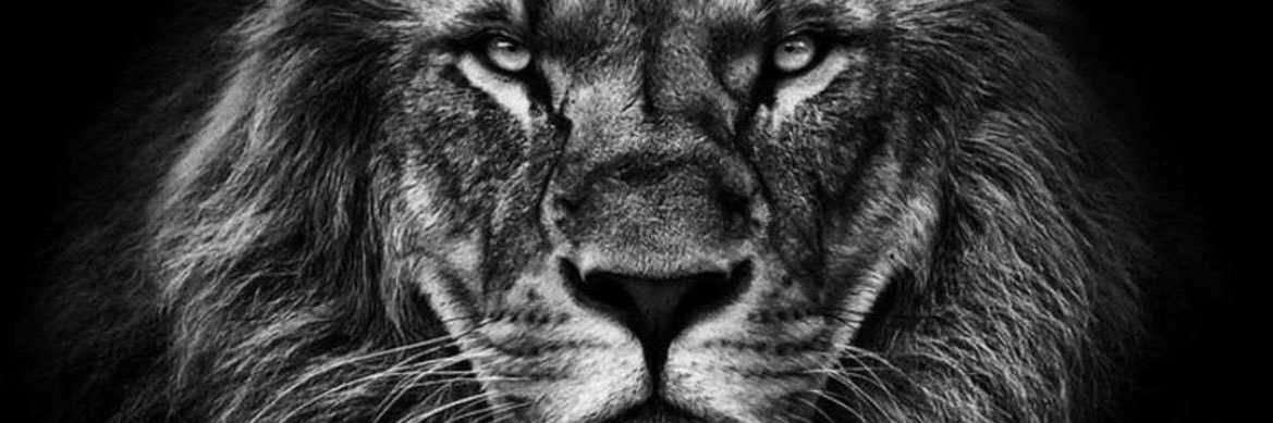 edukshun's profile banner image
