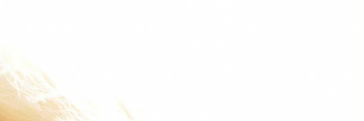 NEX7_THEO's profile banner image