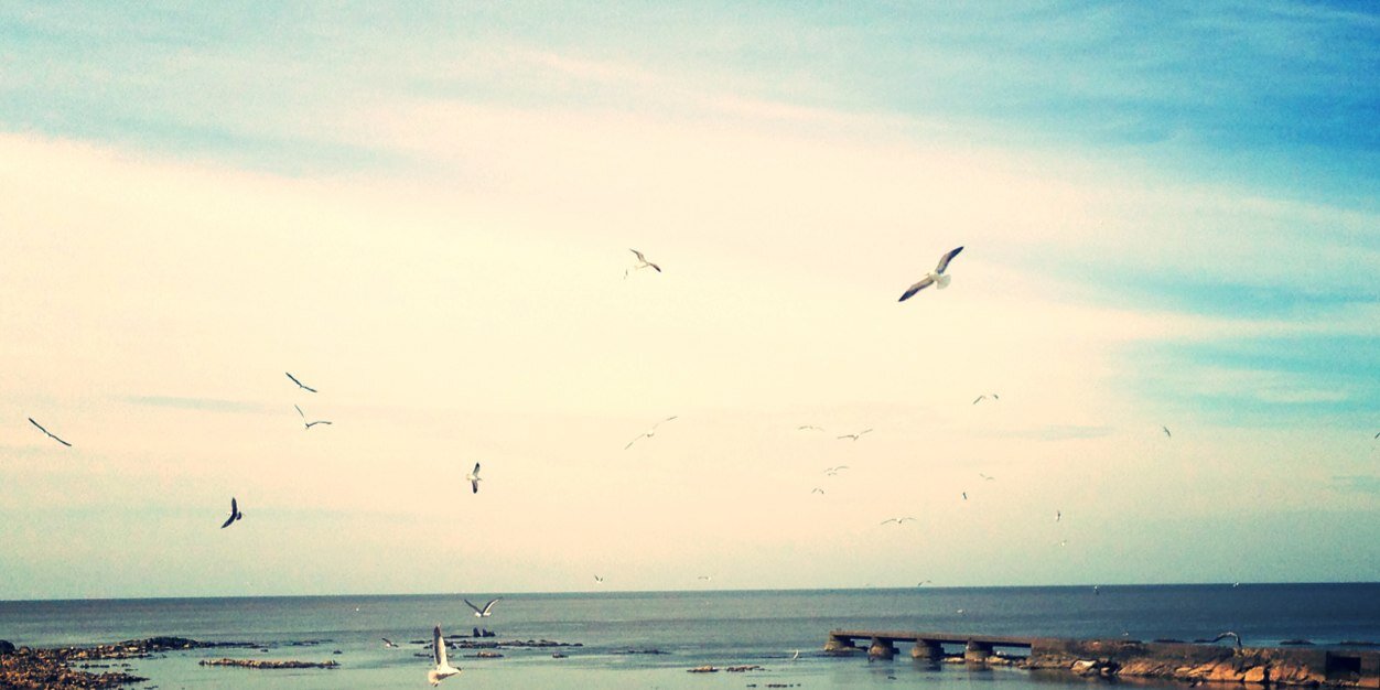 Caro_Bar's profile banner image