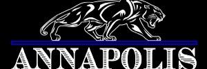 APLangAHS's profile banner image