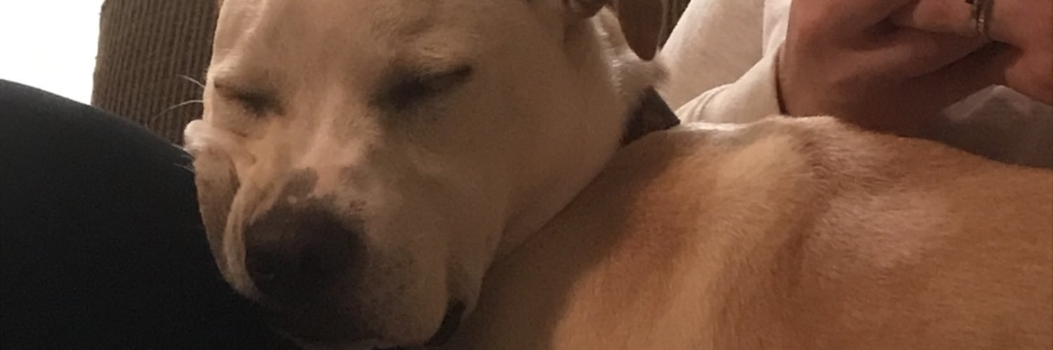 hiblake0's profile banner image