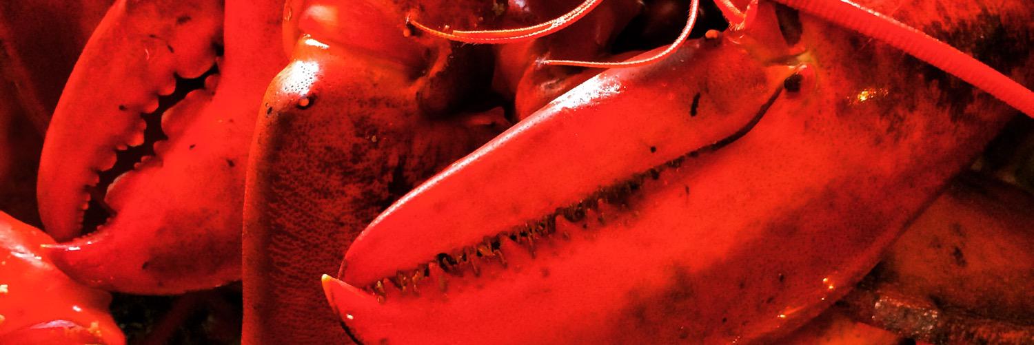 chefmoustachio's profile banner image