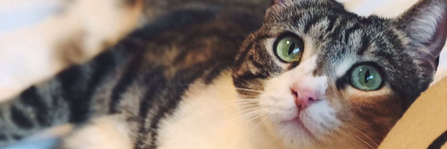 a_strawbridge's profile banner image