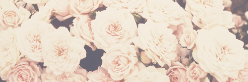 _haleyriley's profile banner image