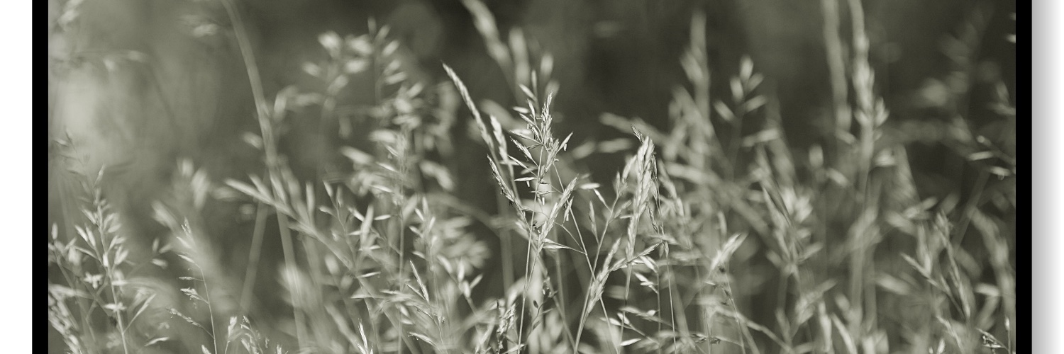 JacquesFine's profile banner image