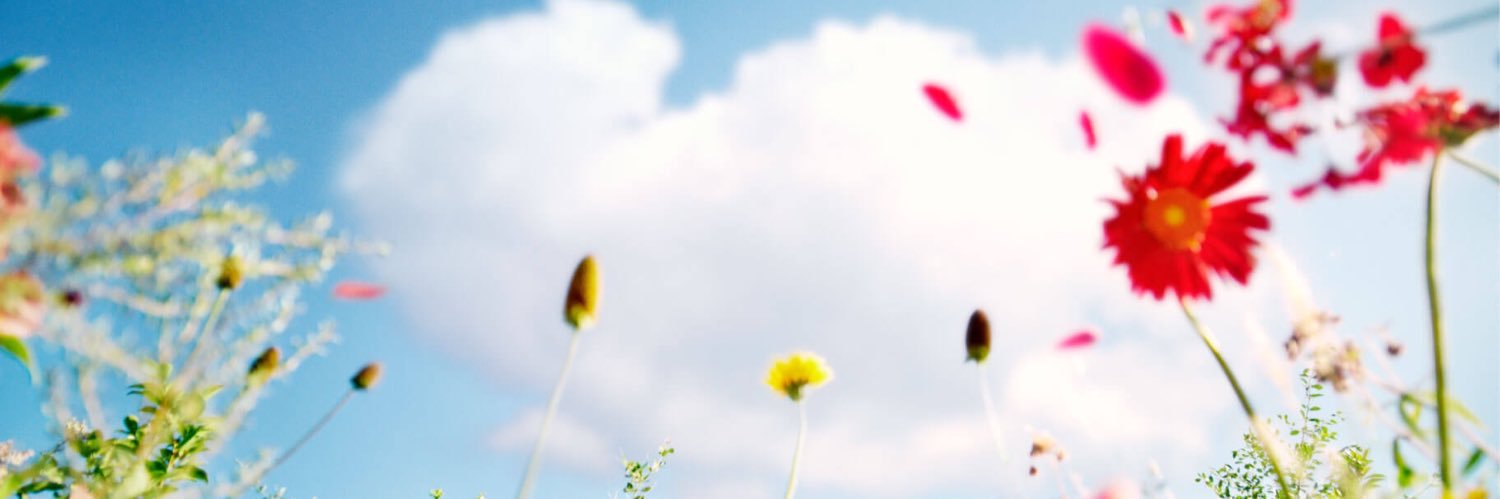 vicke165's profile banner image