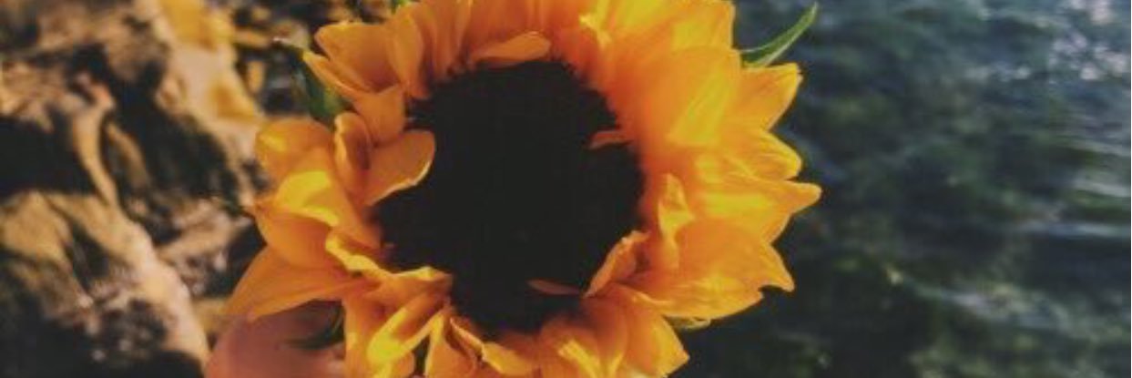 bree🌸 banner