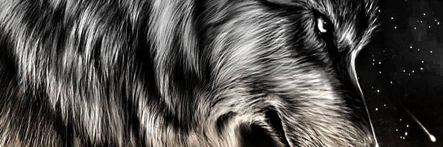 TheWolfynator's profile banner image