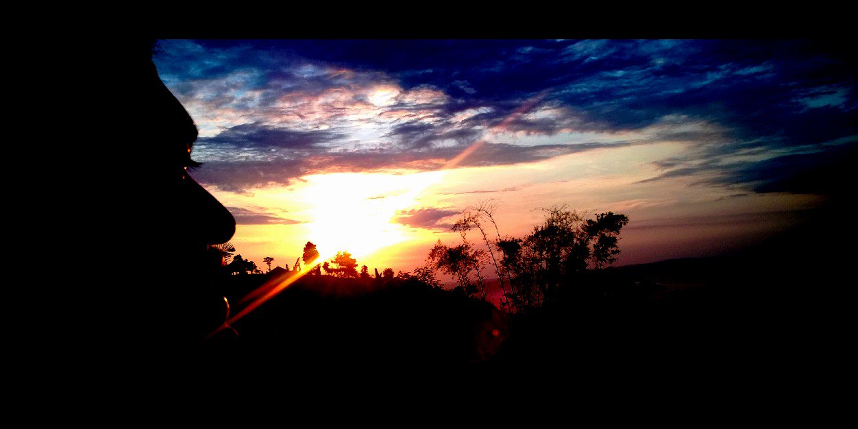 hallonass's profile banner image