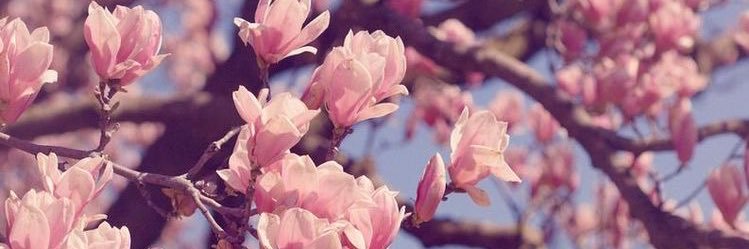 _aautumnn's profile banner image