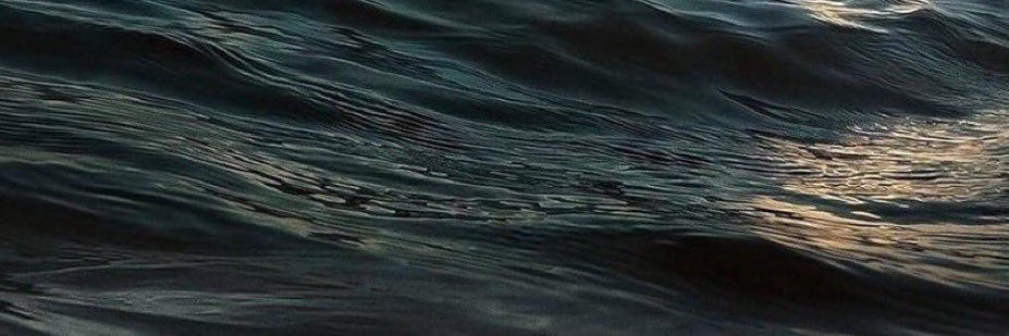 crazyvud's profile banner image