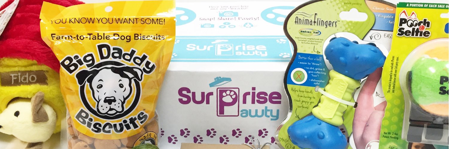 SurprisePawty's profile banner image