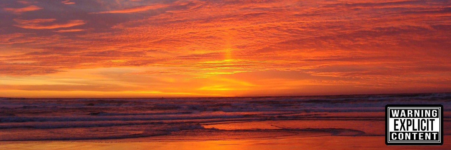 🌴the average shamanic nerd hermit🌺☮️ banner