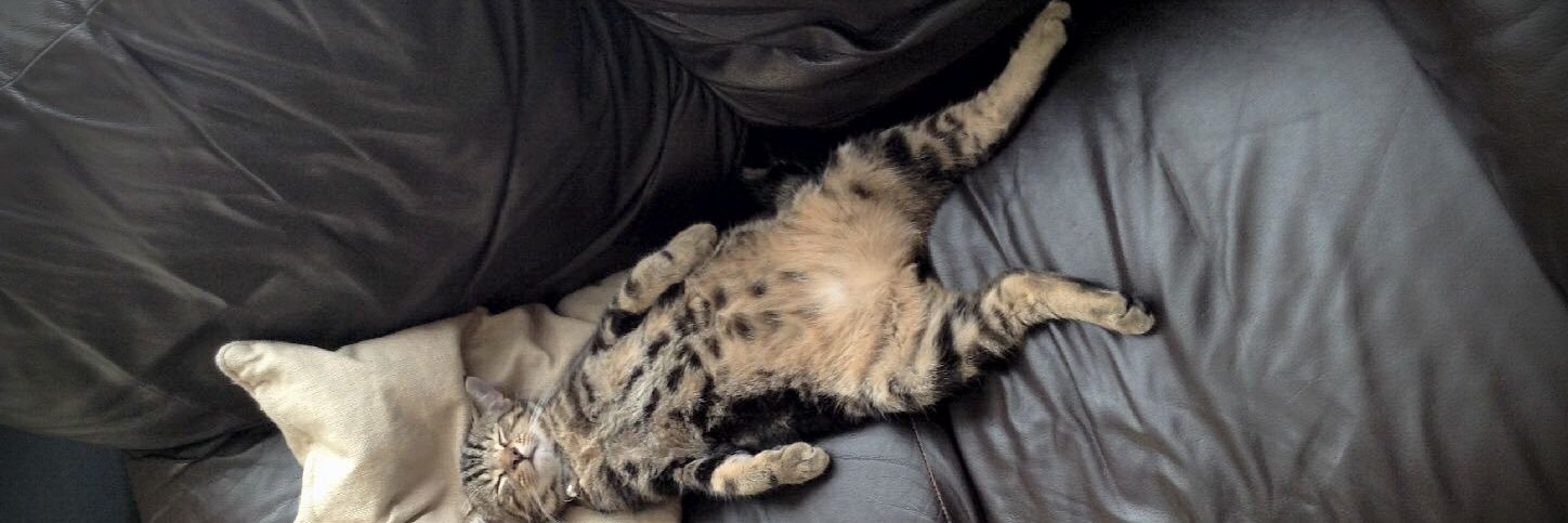 Julie Nichols banner