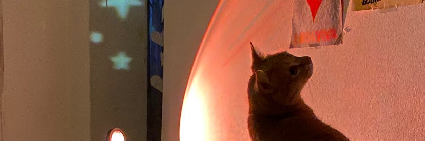acanobre_'s profile banner image