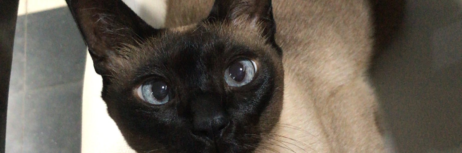 Santino Córdoba Z. banner