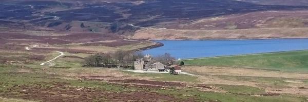 Ibby_tri Profile Banner