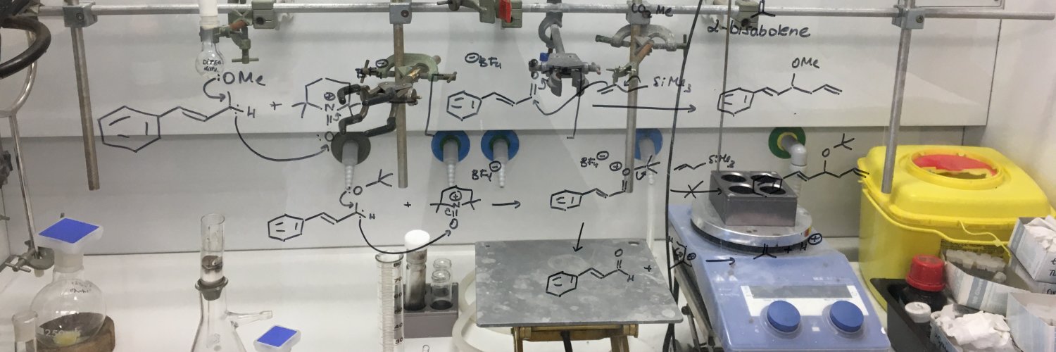 Alexandre Pradal banner