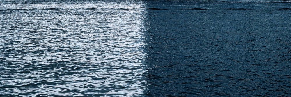 Bryan K. Malley banner