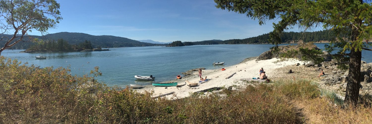 Salt Spring Exchange banner