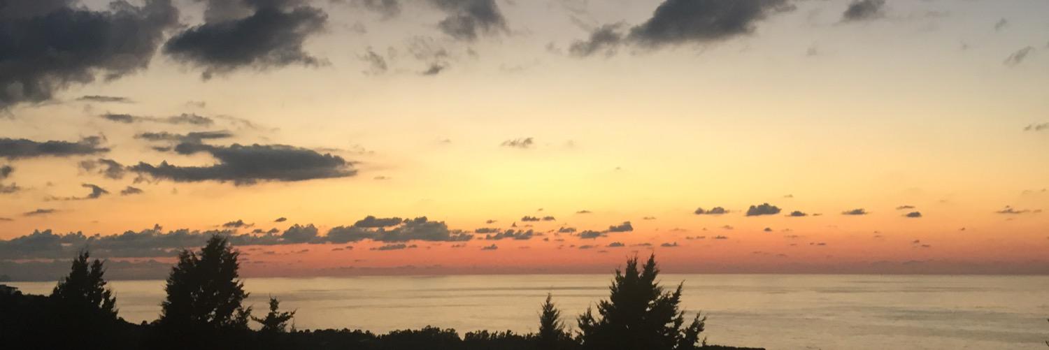 Mataus_2399's profile banner image