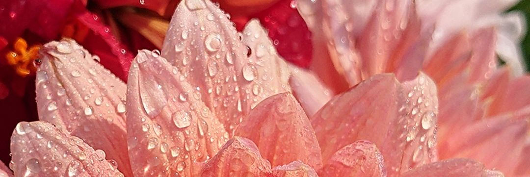 rachpoole's profile banner image