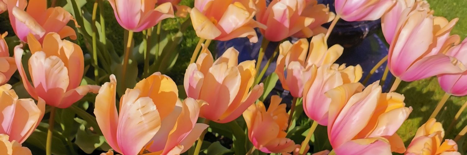 oneloudmind's profile banner image