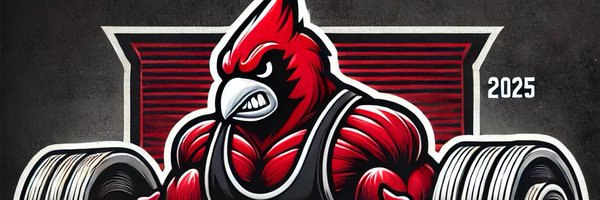 CHS__Strength Profile Banner