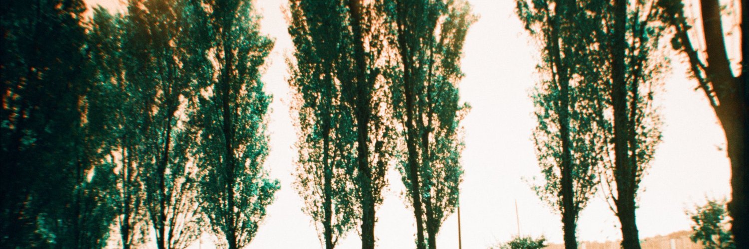 LuaMoonmond's profile banner image