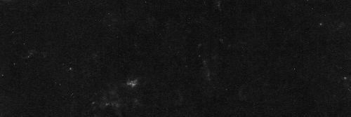 EleanorCPRP's profile banner image