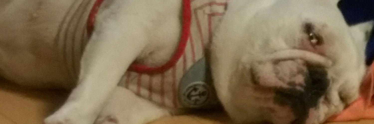 orinpann's profile banner image