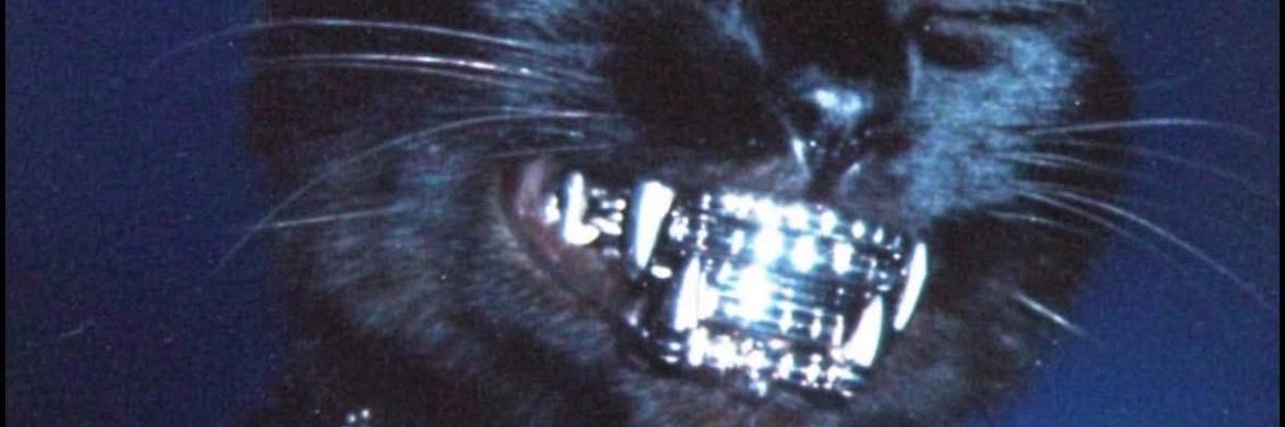 the_odd_kid's profile banner image