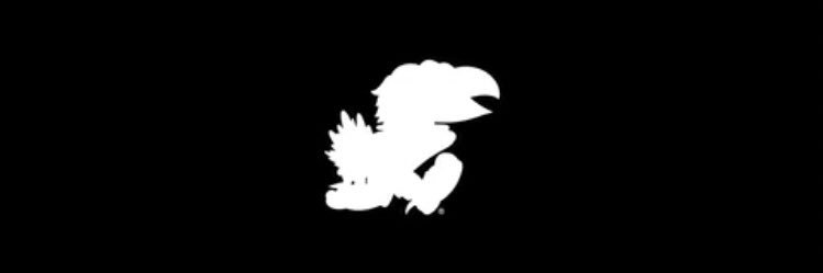 lchristenham's profile banner image