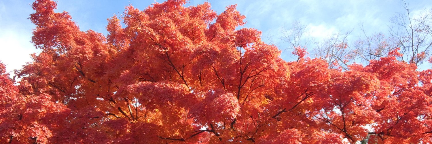 Japan2488's profile banner image
