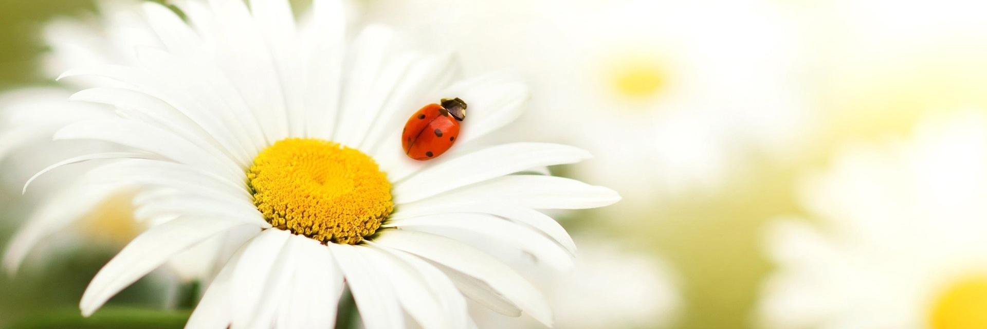 TriPustaKartini's profile banner image