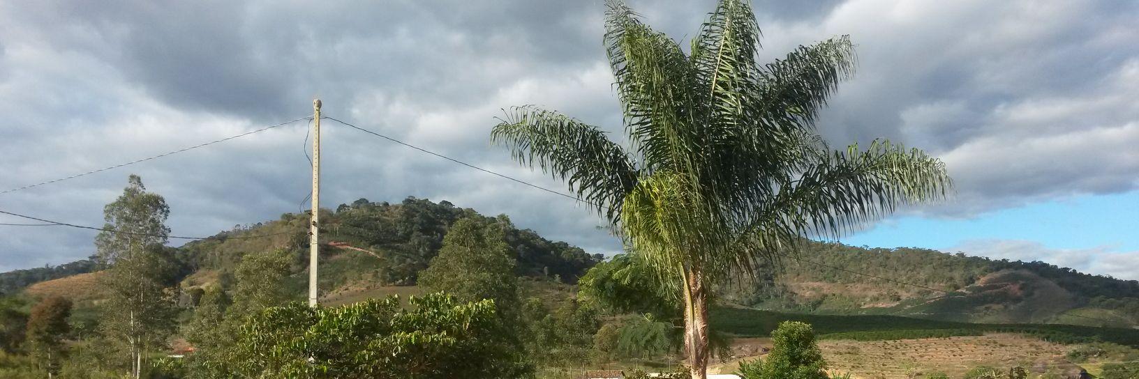 Allan Carlos ᶜʳᶠ banner