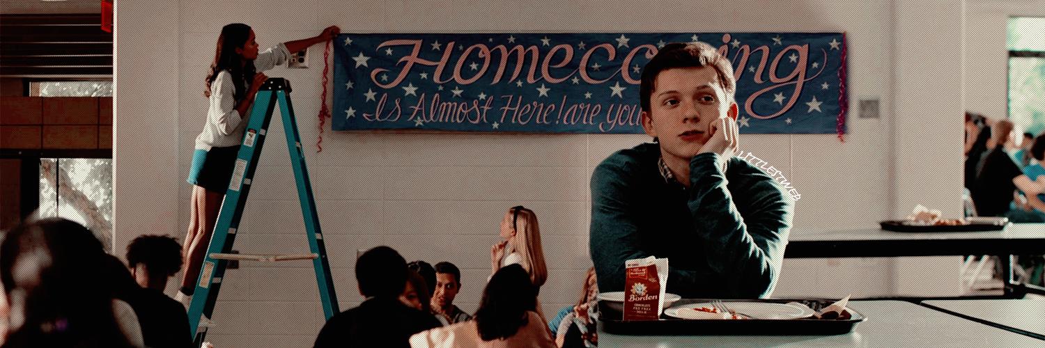 littlestweb's profile banner image