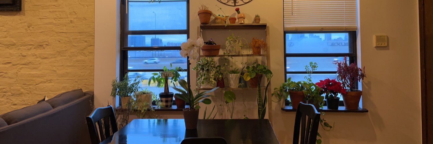 bby_diaz's profile banner image