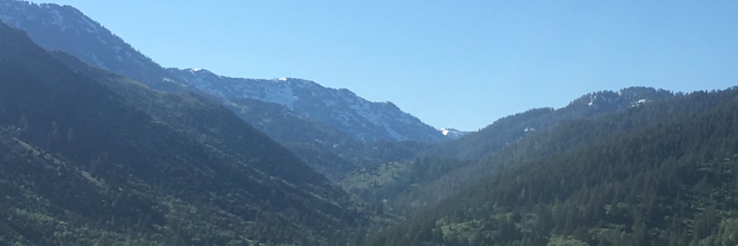 getwildee_'s profile banner image