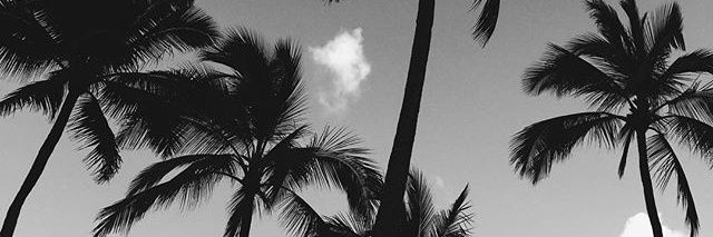 thaysgimenezn's profile banner image