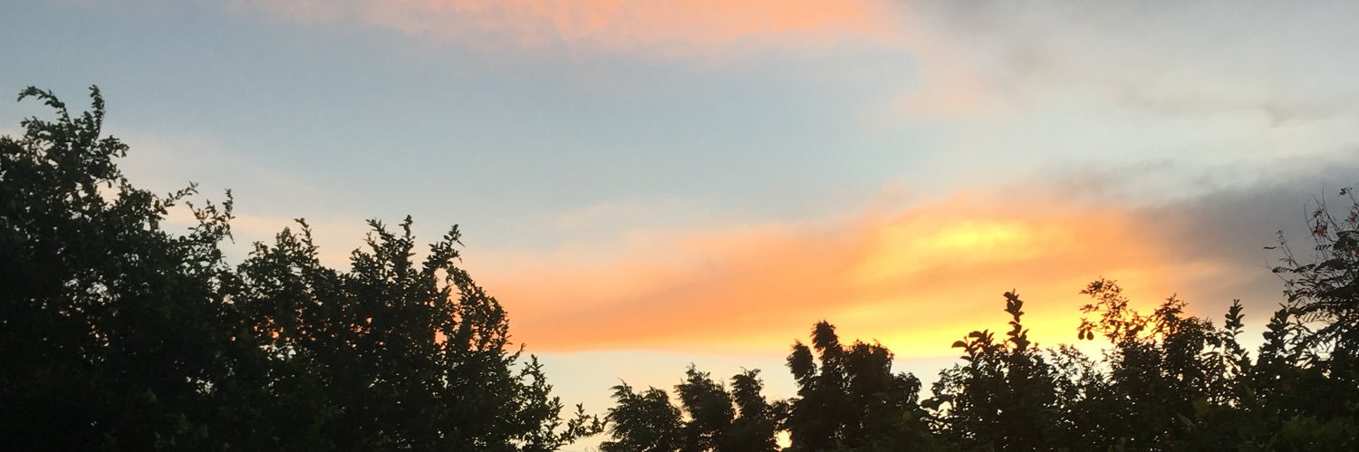 Lau514's profile banner image