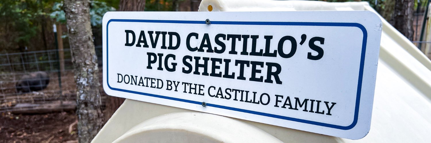 David Castillo banner
