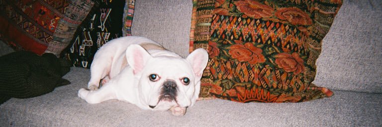 joe tumay banner
